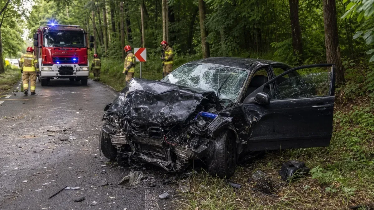 Prawie dwa promile i drzewo na drodze. Pasażer trafił do szpitala