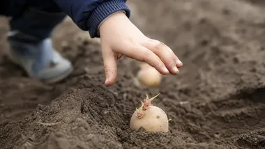 16 uczniów z Baranowa pracuje na farmie w Hiszpanii i uczy się zawodu