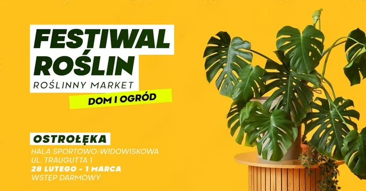 Grafika promocyjna wydarzenia Festiwal Roślin w Ostrołęce — wielki market roślin i kolekcjonerskie okazy