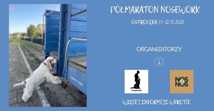 Obrazek przedstawia grafikę promocyjną wydarzenia Półmaraton Nosework w Tobolicach (gmina Rzekuń) — terminy i przebieg zawodów