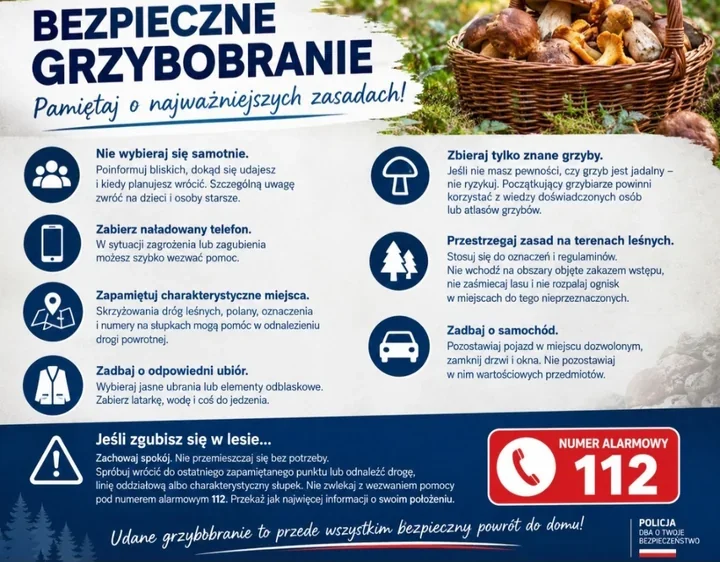 Grzybiarze gubią się w lesie. Policja wskazuje, co może uratować życie
