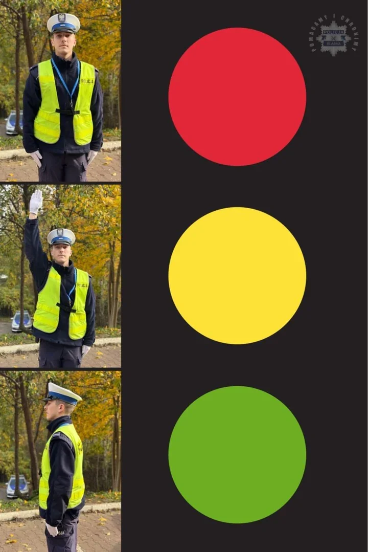 Policjant na skrzyżowaniu zamiast świateł. Ostrołęcka policja przypomina zasady