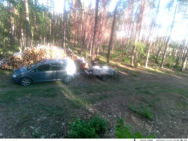 Fotopułapka nagrała kradzież drewna. Dzielnicowy zatrzymał parę w Czerwinie