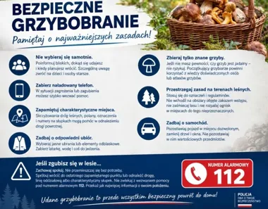 Grzybiarze gubią się w lesie. Policja wskazuje, co może uratować życie