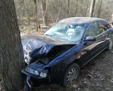 Audi rozbite o drzewo - kierowca ukarany 3000 złotych mandatu