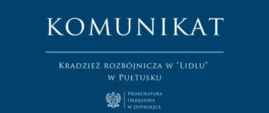 Tymczasowy areszt po zarzucie kradzieży rozbójniczej w Pułtusku