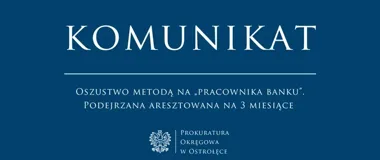 Trzymiesięczny areszt po oszustwie na „pracownika banku”